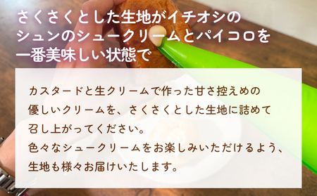 自分で作る！ サクサクシュークリーム 詰め合わせ  富山県 氷見市 シュークリーム お取り寄せ カスタード