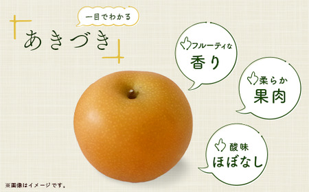 【2025年先行予約 数量限定】梨 あきづき 約3kg 6玉～10玉 | 梨 梨 梨 梨 梨