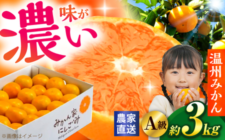 【先行予約】＜サイズおまかせ＞高知県産温州みかんA級品 約3kg ＜2026年11月上旬～2026年12月下旬頃発送＞/ みかん 柑橘 オレンジ 高知県 温州 【株式会社にしごみ】[ATEA010]