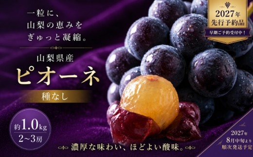 【2027年先行予約】山梨県産 種なし ピオーネ 2～3房（約1.0kg） ぶどう budou BUDOU 葡萄 ブドウ フルーツ 果物 くだもの デザート 黒葡萄 黒ブドウ 黒ぶどう 濃厚【アズールヤード】