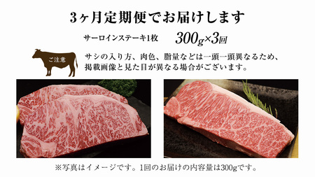 【 3ヶ月定期便 】【 常陸牛 】煌 サーロイン ステーキ 300g ( 1枚 ) ( 化粧箱入り ) ( 茨城県共通返礼品 ) 国産 きらめき 霜降 小ザシ お肉 肉 A5ランク ブランド牛 牛肉 