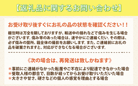 【先行予約】木更津産とうもろこし　農園おまかせパック約5キロ（１０～１5本入） KCN001
