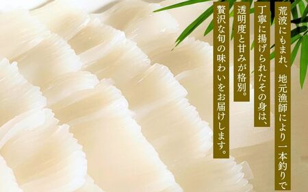 アカイカ 1kg（約2～4杯）イカ いか 海鮮【石川県漁業協同組合小松支所】 bo002n00