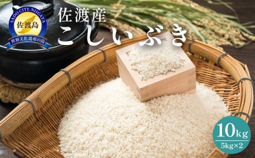 佐渡島産　こしいぶき　10kg（5kg×2）　令和7年産