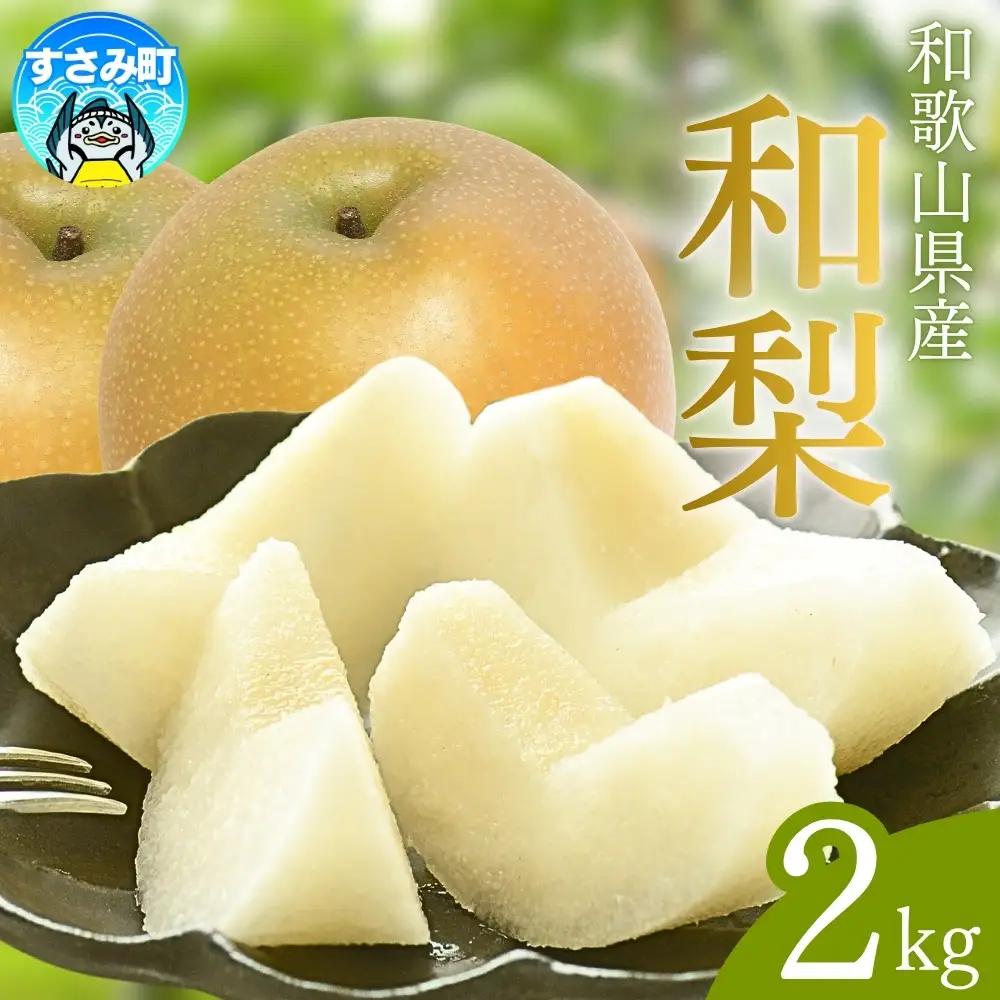 【先行予約】[数量限定] 和歌山県産の梨 約2kg(品種おまかせ) 【2027年度発送】 【tec925D】
