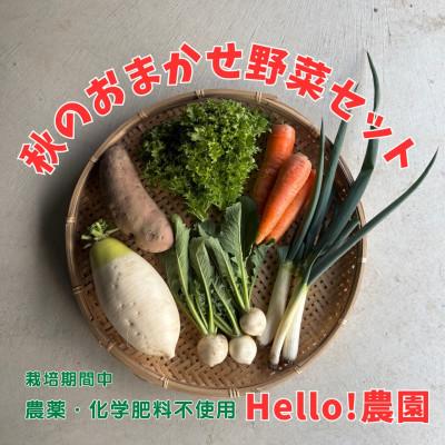 ふるさと納税 江南市 【Hello!農園直送】秋のおまかせ野菜セット(5〜7品)　栽培期間中農薬・化学肥料不使用