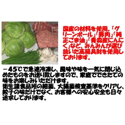 ふるさと納税 高岡市 みんみんの餃子48個 |  | 02