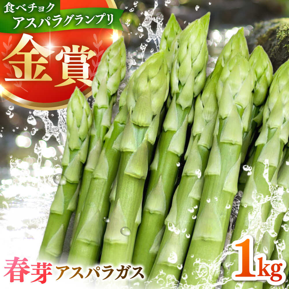 【ふるさと納税】【先行予約】 こだわり 春芽 アスパラガス 約1kg【ひがじま農園】 アスパラ 野菜 農家直送 佐賀県 白石 [ICW001]