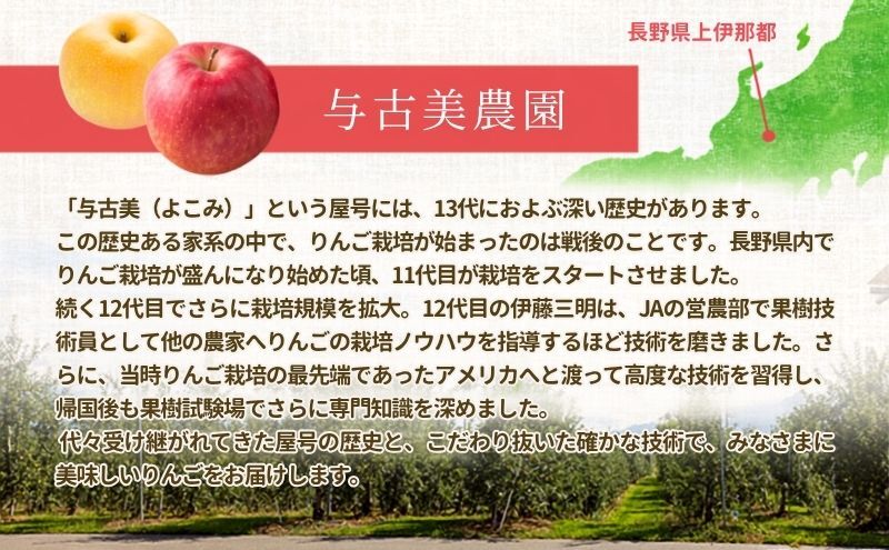 【2026年/令和8年発送分 】梨 長野 あきづき 約5kg 信州の梨 シャリッとみずみずしい梨です フルーツ 果物 デザート なし ナシ あきづき アキヅキ 産地直送 長野県 信州産