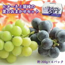 【ふるさと納税】【数量限定】ピオーネと翠峰の夏のおまかせセット約200g×4パック★2025年8月下旬頃より順次発送【TM183】 | フルーツ 果物 くだもの 食品 人気 おすすめ 送料無料