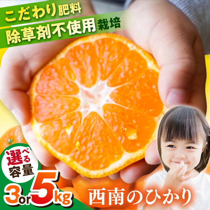 【先行予約】【選べる容量！】 西南のひかり　【志村農園】 [AKGH005]