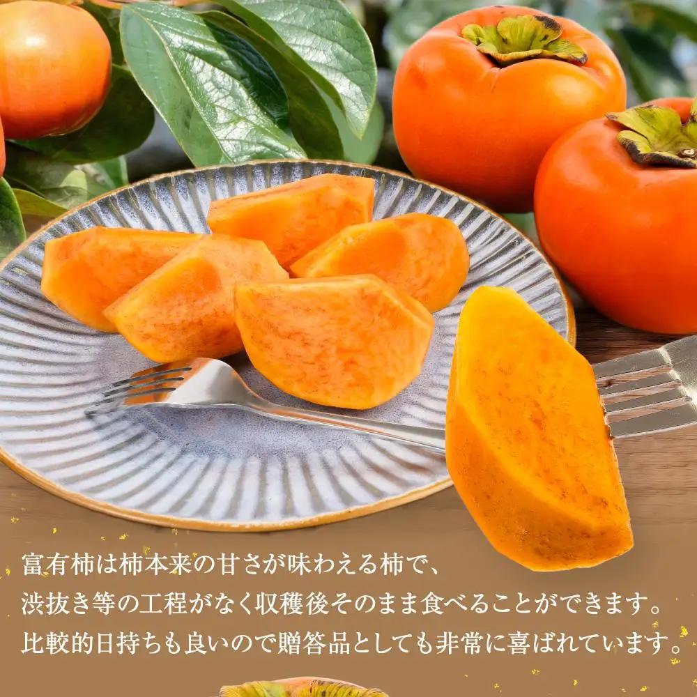 先行予約 富有柿 秀品6～8個入り こだわり農家厳選［2026年11月初旬頃から12月上旬頃順次発送］［KG25］