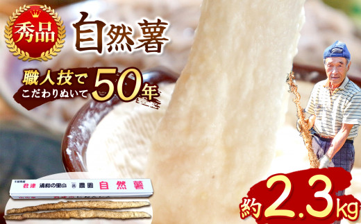 【 先行予約 】自然薯 【 約2.3kg 】 2 本 ～ 3本  千葉県産 11月上旬頃～順次発送 | マルショー農園 パイプ 栽培 ベテラン農家 長期保存 じねんじょ とろろ やまいも 山芋の卵焼き 麦とろご飯 ネバネバ丼 とろろそば 君津市 きみつ 千葉県