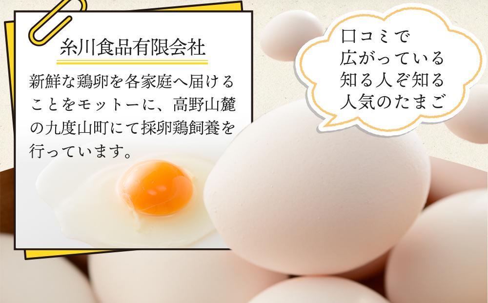 【定期便 毎月発送 全6回】 アルカリ化 玉子 紀州地養卵 合計 50個入 (40個＋割れ補償分10個）× 6回　卵 たまご 玉子 タマゴ 鶏卵 まとめ買い オムレツ 卵かけご飯 朝食 業務用