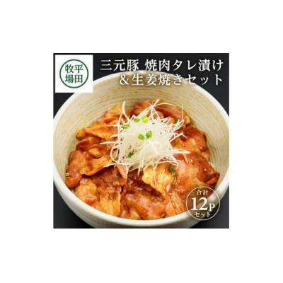 ふるさと納税 酒田市 【平田牧場】日本の米育ち◆三元豚 焼肉タレ漬け&amp;生姜焼き2種セット計12パック(各140g×6)