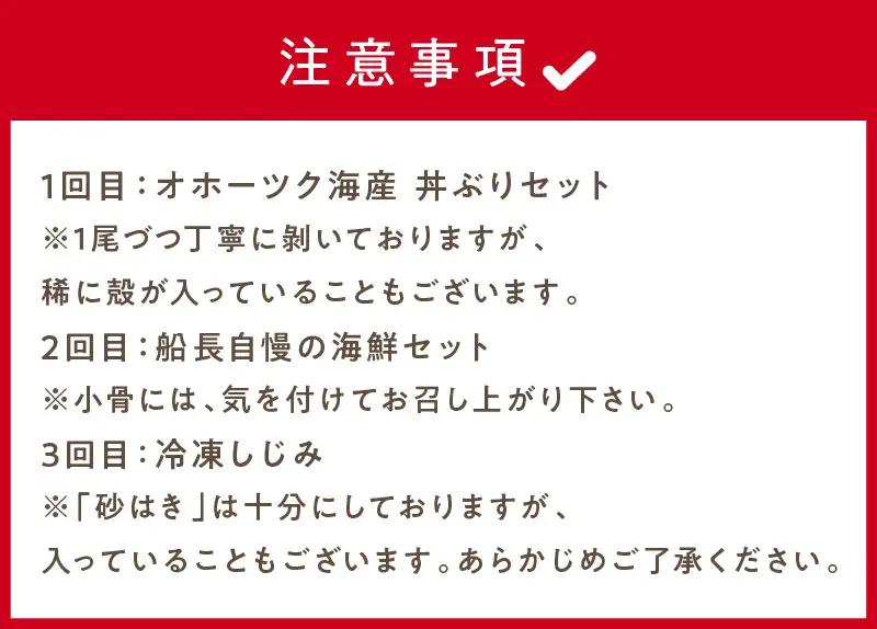 【3ヶ月定期便】船長おすすめ！海の幸セット ( ほたて ホタテ 海鮮丼 ほっけ 鮭 いか サーモン しじみ 定期便 魚介 )【999-0309】