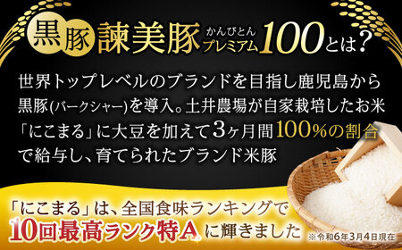【6回定期便】＜特Aのブランド米で育てた＞黒豚諫美豚プレミアム100 切り落とし(ウデ・モモ) 1.2kg(300g×4P) / 黒豚 豚肉 小分け 肉 豚 ウデ肉 ウデ モモ もも肉 / 諫早市 /