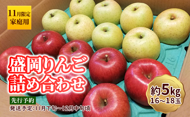 
            11月限定 りんご 『盛岡りんご』生果実 家庭用 約5kg(18～16個) 箱 詰め合わせ 盛岡市 下久保農園産                        
          