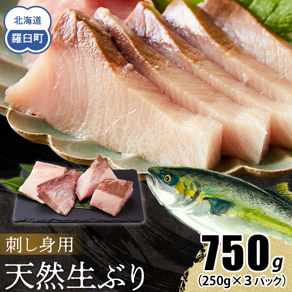 【2026年2月発送】北海道 知床羅臼産 天然ぶり刺身 750g（250g ×3パック） 魚 海産物 魚介 魚介類 ブリ 鰤 刺身 ご飯のお供 冷凍 生産者 支援 応援