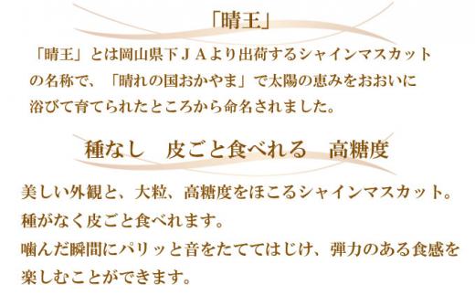 ぶどう 2026年   シャイン マスカット 晴王 5房～10房 約5kg＜2026年8月下旬～2026年10月下旬発送＞ ブドウ 葡萄  岡山県産 国産 フルーツ 果物 ギフト