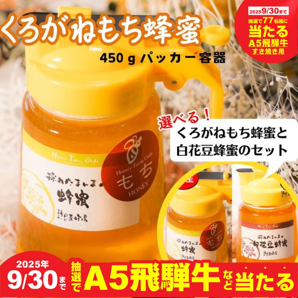 【ふるさと納税】【9月30日〆飛騨牛が抽選で当たる】 国産純粋はちみつ【選べるセット！】くろがねもち蜂蜜 450g ☆液だれしにくいパッカー容器入り☆ 蜂蜜 ハニー ボトル入り 非常食 防災 岐阜県 大垣市