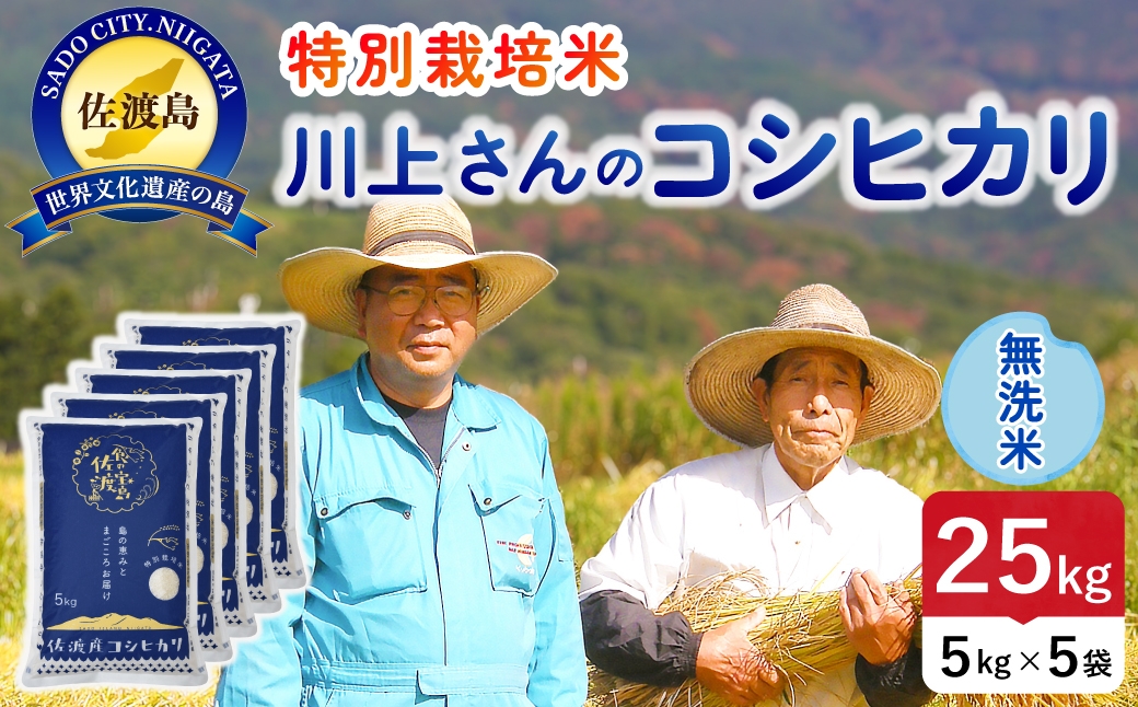 
                  令和8年産 佐渡島産川上さんのコシヒカリ 無洗米25kg 特別栽培米 | 新潟県産コシヒカリ 新潟産コシヒカリ 佐渡産コシヒカリ コシヒカリ 特別栽培米 お米 米 無洗米 むせんまい おこめ コメ 25キロ にいがた さど 新潟県 佐渡市
                