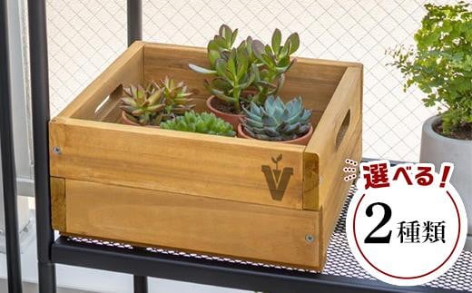 
ベジテラスコンテナ
