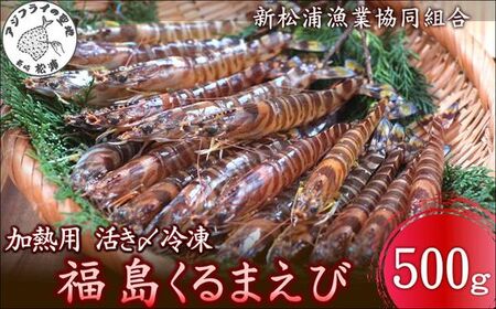 加熱用 活き〆冷凍福島くるまえび500g( 車エビ クルマエビ くるまえび えび エビ 海老 加熱用 )【B1-192】