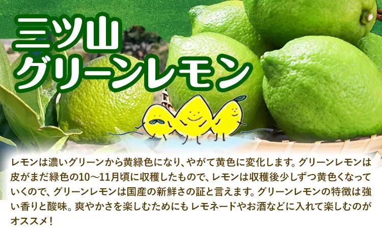 グリーン レモン 訳あり 5kg 三ツ山レモンファーム 檸檬