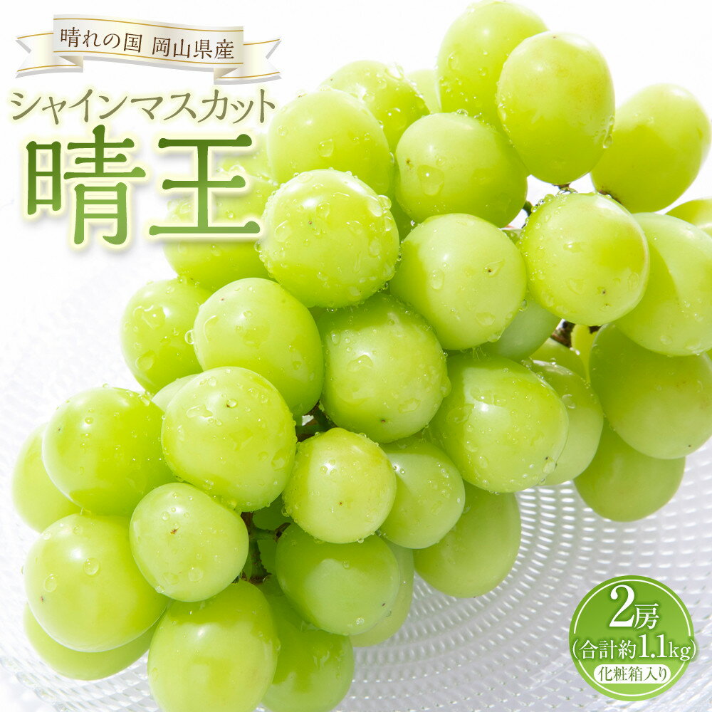 【ふるさと納税】ぶどう 2026年 シャイン マスカット 晴王 2房（合計約1.1kg）化粧箱入り マスカット ブドウ 葡萄 岡山県産 国産 フルーツ 果物 ギフト | フルーツ 果物 くだもの 食品 人気 おすすめ 送料無料