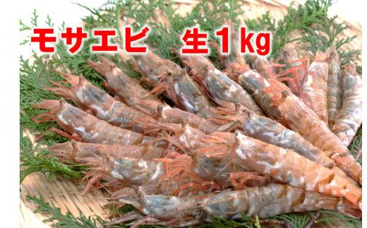 【魚倉】モサエビ 生1kg (中～大サイズ)