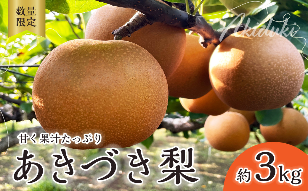 
            梨【2025年先行予約 数量限定】あきづき 約3kg | 先行予約 数量限定 梨 フルーツ 高級 産地直送 限定品 贈り物 新鮮 お取り寄せ デザート ギフト 風味豊か 香り 上品 希少価値 珍しい 地域 甘い 限定 果物 果樹 甘太 梨 なし 果物 フルーツ 和梨 旬 日本の梨 ジューシー みずみずしい 高糖度 季節のフルーツ 大玉 埼玉県 久喜市
          