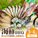 【ふるさと納税】大満足！京丹後・海鮮BBQ Aセット 5種20品（3～4人前） 魚介類 さざえ 蠑螺 カキ かき いか バーベキュー ばーべきゅー きゃんぷ アウトドア あうとどあ 個包装 冷凍 送料無料