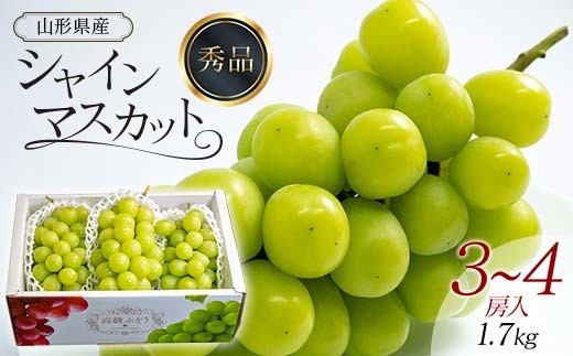 
                  シャインマスカット 3～4房入 1.7kg  マスカット ぶどう ブドウ 葡萄 デザート フルーツ 果物 くだもの 果実 食品 山形県 FSY-0738
                