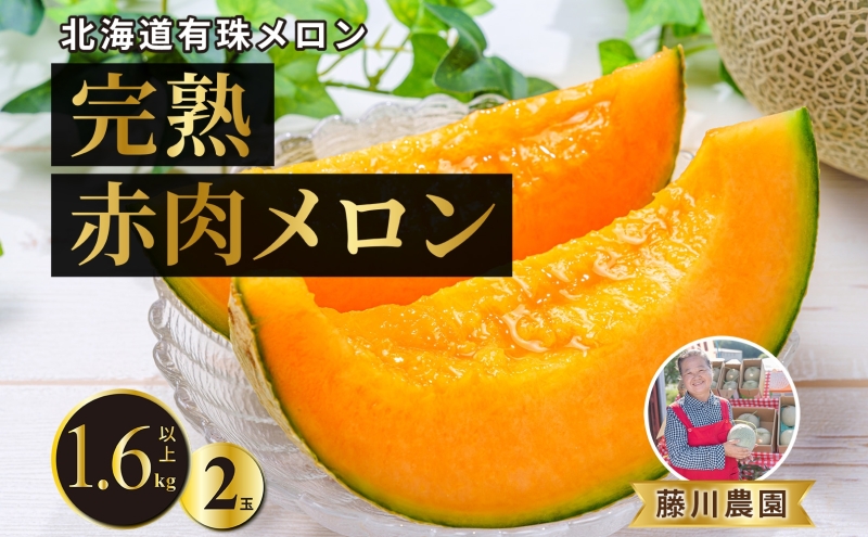 北海道産 有珠メロン 2玉 セット 赤肉 Lサイズ 1.6kg以上×2玉 ツル付き レッドルピア 果物 めろん フルーツ くだもの 完熟 旬 ご褒美 ギフト お祝い 産地直送 お取り寄せ 北海道 藤川農園 送料無料 伊達