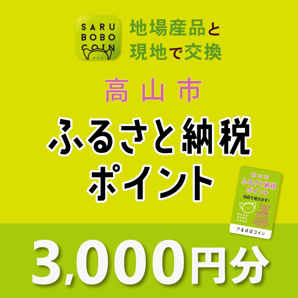 【ふるさと納税】高山市ふるさと納税ポイント 3,000pt【飛騨信用組合 SB002】