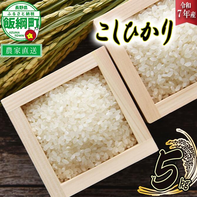 【ふるさと納税】 米 こしひかり 5kg ( 令和7年産 ) 米澤商店 沖縄県への配送不可 長野県 飯綱町 【 コシヒカリ 白米 精米 お米 信州 】発送時期：2025年10月上旬〜 [お届け1回 (**)]