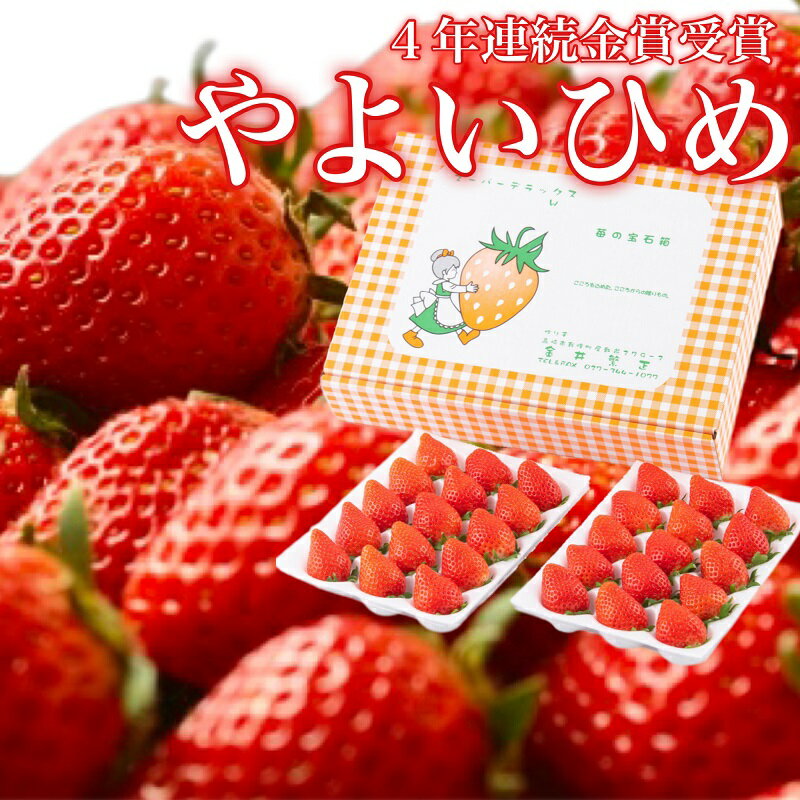 【ふるさと納税】金井いちご園のいちご（やよいひめ）　5箱（大粒いちご約400g×2パック／1箱）