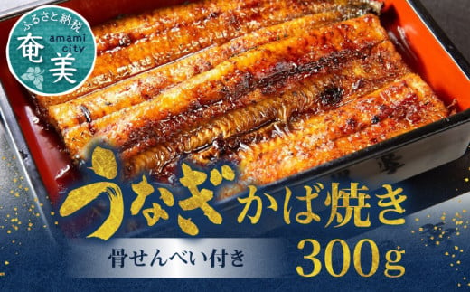 創業140年！老舗うなぎ屋のうなぎのかば焼き2尾と骨せんべいセット　A040-004