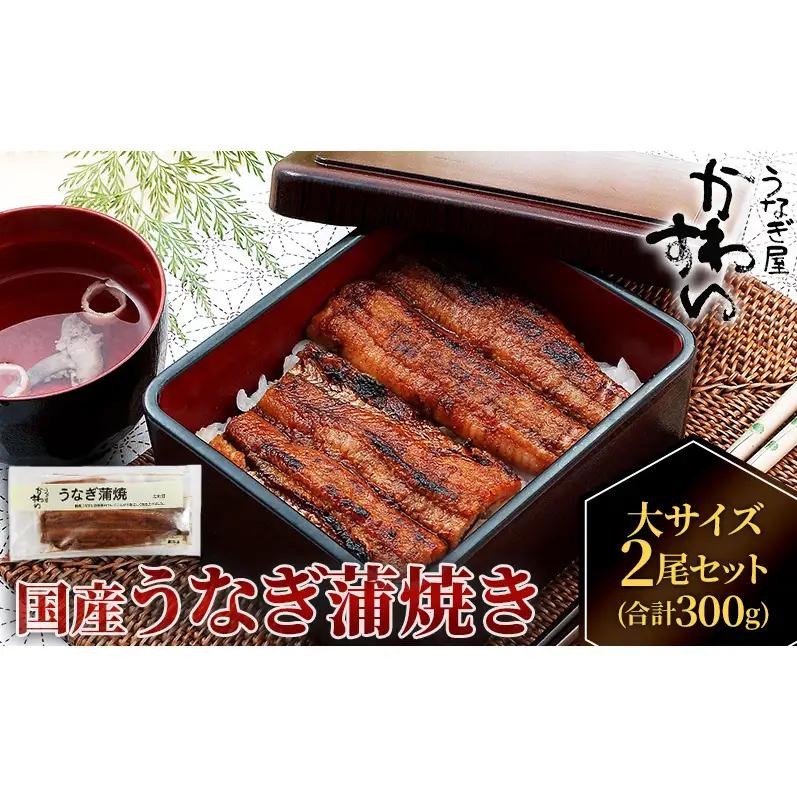 国産うなぎ  蒲焼き 大サイズ 2尾セット(合計300g) タレ付き 国産 うなぎ ウナギ 鰻 蒲焼 かば焼き 2尾 セット 惣菜 冷凍