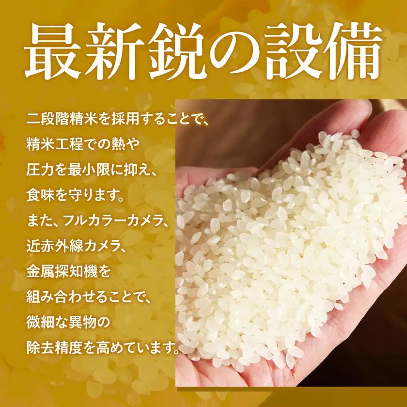 【12ヶ月定期便】令和7年産 定期便 こしひかり 白米 定期便 20kg 精米 熊本県産(南阿蘇村産含む)  南阿蘇村《お申込み翌月から出荷》｜人気米 熊本県産米  生活応援米