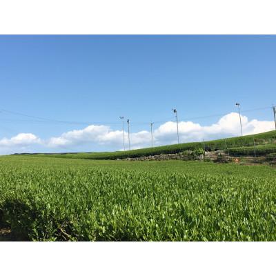 ふるさと納税 佐賀県 【全国茶品評会で最優秀産地賞受賞】沢山の人に飲んで頂きたい佐賀自慢のお茶合計1kg 100g×10袋 |  | 02