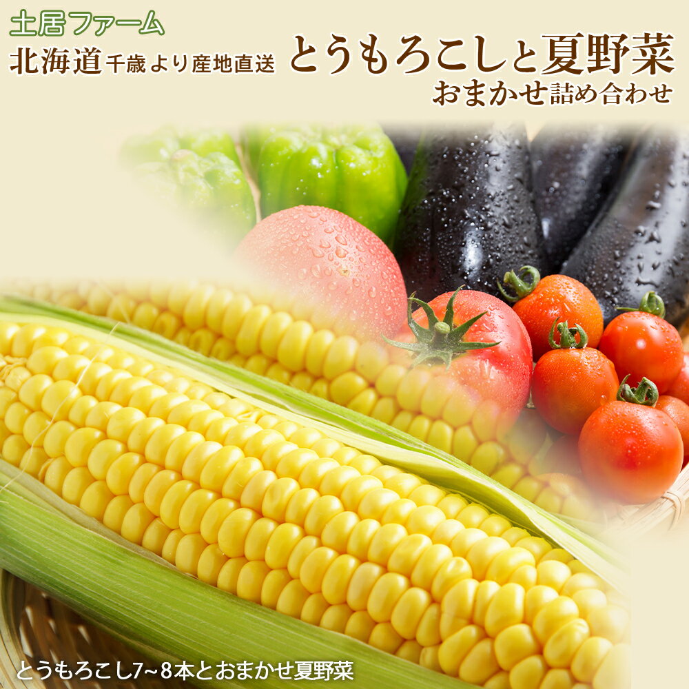 【ふるさと納税】2026年夏発送 とうもろこしと夏野菜 おまかせ 詰め合わせセット【土居ファーム】 野菜 とうもろこし かぼちゃ 玉ねぎ なす ミニトマト ピーマン セット【北海道千歳市】ギフト ふるさと納税