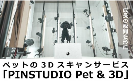 
            ペットの３Dスキャンと３Dフルカラープリントによる造形（フィギュア）長辺５cm | ペット 3Dスキャン 犬 猫 記念 ギフト オーダーメイド 思い出 人気 おすすめ 送料無料 東京 中野区
          