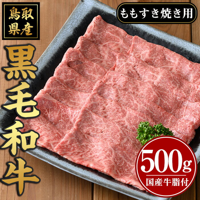【ふるさと納税】鳥取黒毛和牛 すき焼き用(計500g)国産 牛肉 黒毛和牛 ビーフ 赤身 もも モモ もも肉 すき焼き 冷凍【sm-AP003】【いろは精肉本店】