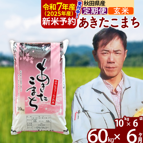 ※令和7年産 新米予約※《定期便6ヶ月》秋田県産 あきたこまち 60kg【玄米】(10kg袋) 2025年産 お届け周期調整可能 隔月に調整OK お米 みそらファーム