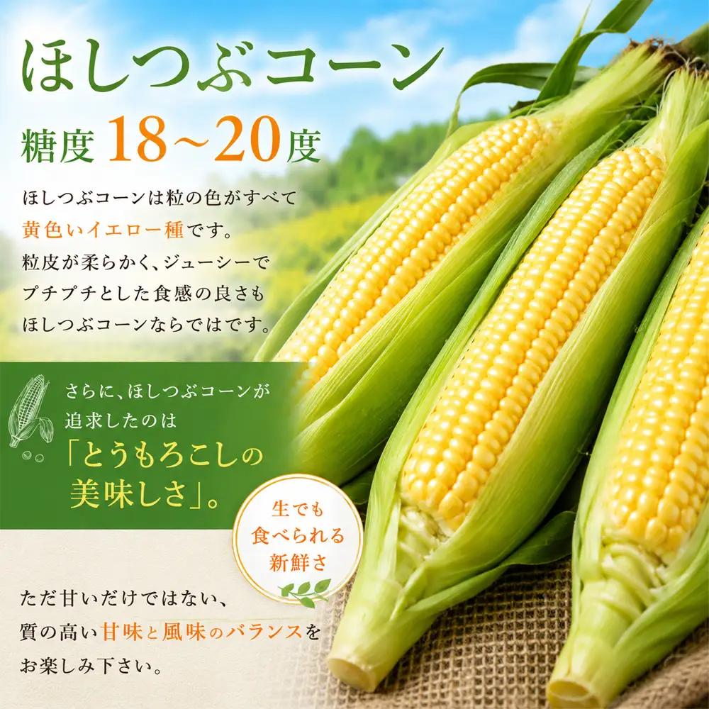 とうもろこし 【先行予約】ほしつぶコーン 12本 とうもろこし 北海道 スイートコーン
