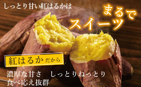 新地町産 紅はるか 生さつまいも 5kg 　2025年11月以降順次発送