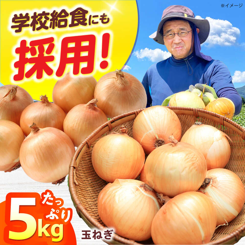 【ふるさと納税】【7月以降発送予定】新鮮！しゃきしゃき！ 玉ねぎ 5kg 野菜 やさい 新鮮 産地直送 旬 農作物 農産品 産地直送 産直 人気 お取り寄せ お取寄せ たまねぎ 玉ねぎ 農作物 ご当地 料理 サラダ セット 人気 おすすめ 大阪府高槻市/高槻あぐり[AOCS027]
