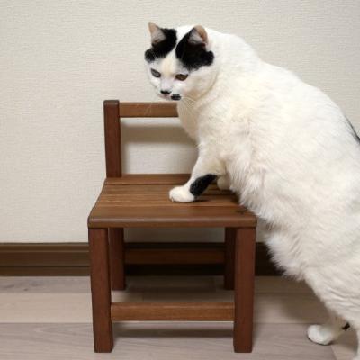 ふるさと納税 静岡市 COMOLEBIファニチャー　ユーカリ木材　ミニ椅子 |  | 02